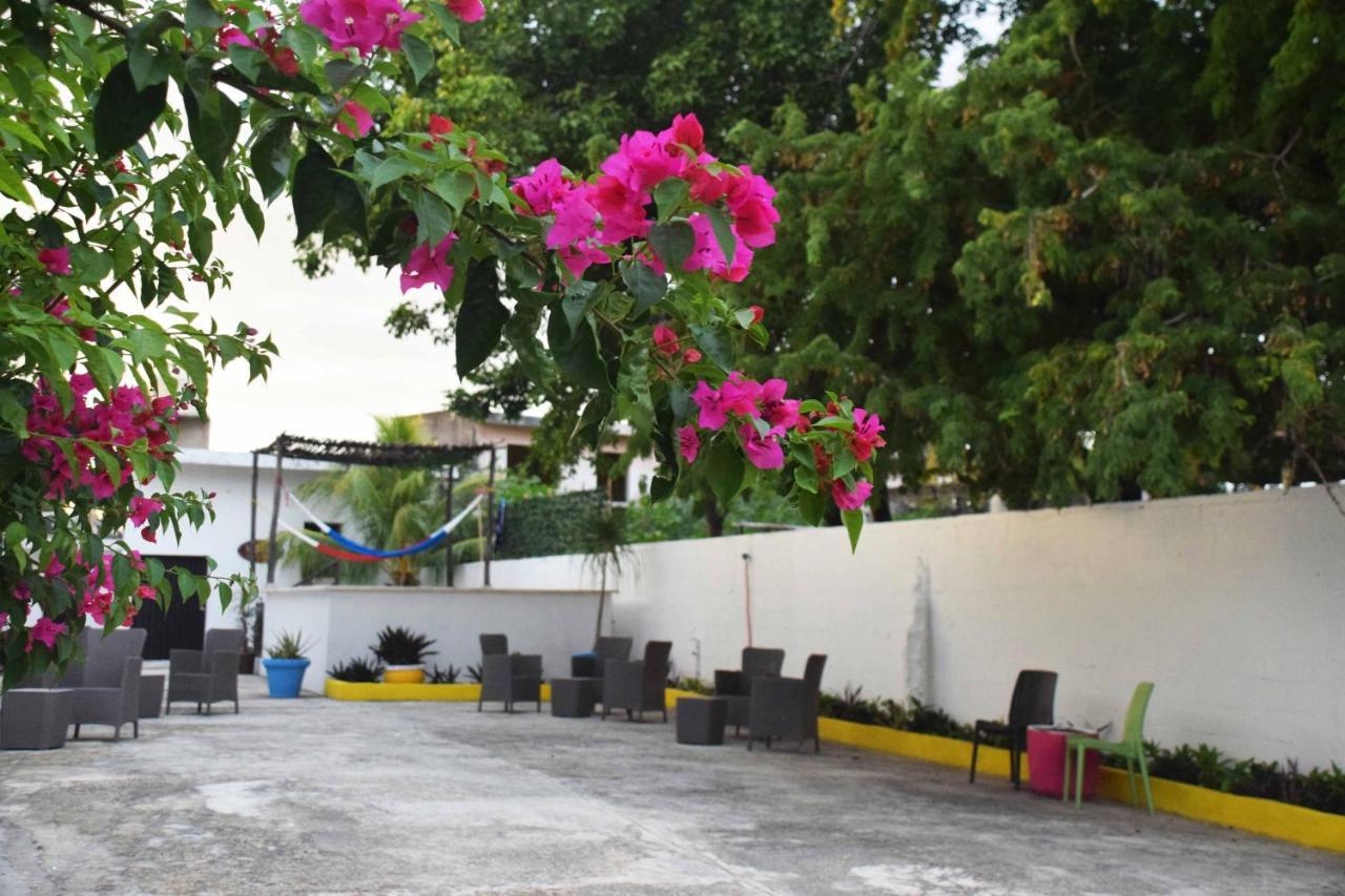 מרידה Hostal Casa Bohemia מראה חיצוני תמונה